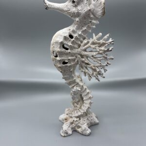 Coral Sea Horse