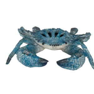 Coastal Coral Crab Sculpture