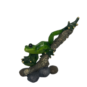 Colorful Green Frog on Branch