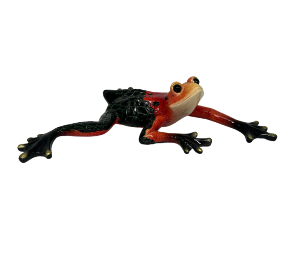 Red and Black Frog with Scaled Bottom
