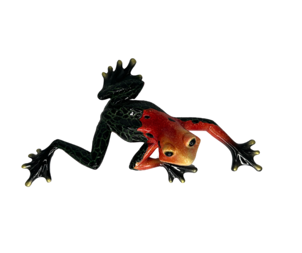 Red and Black Frog with Scaled Bottom - Image 4