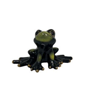 Black Mask Frog