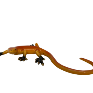 Orange Lizard Décor