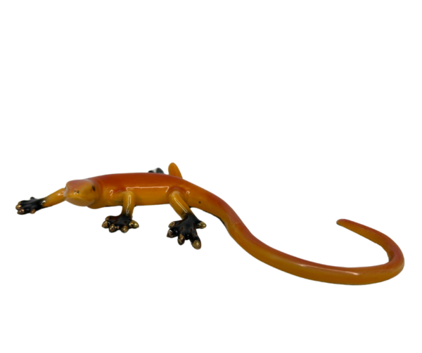 Orange Lizard Décor