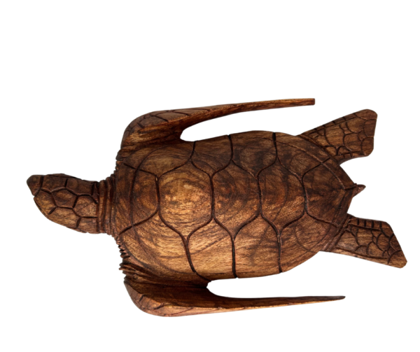 Carved Dark Wood Sea Turtle - Image 4